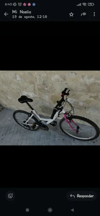 Bicicleta Infantil 24