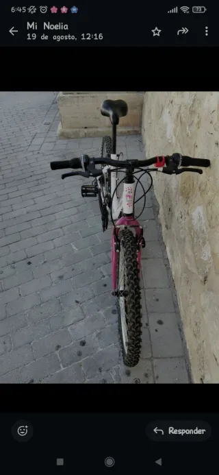 Bicicleta Infantil 24