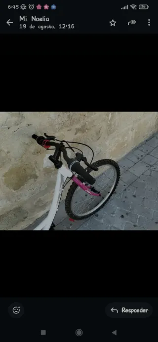 Bicicleta Infantil 24