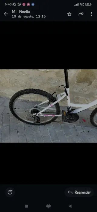 Bicicleta Infantil 24