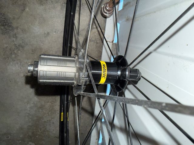 Ruote Mavic Aksium per strada