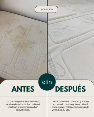 Limpieza profesional de tapicerías a domicilio