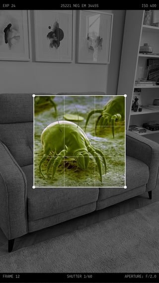 Limpieza profesional de tapicerías a domicilio