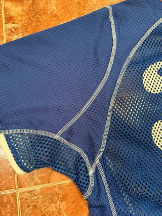 Camiseta Aimé Leon Dore Azul estilo streetwear