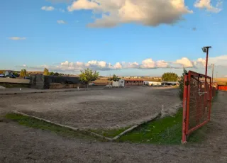 Pupilaje box o padock