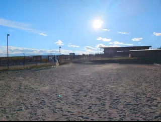 Pupilaje box o padock