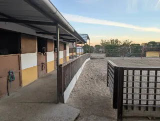 Pupilaje box o padock