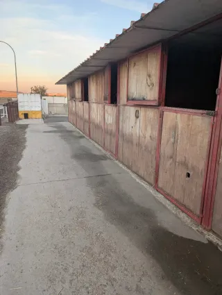 Pupilaje box o padock