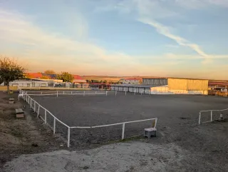 Pupilaje box o padock