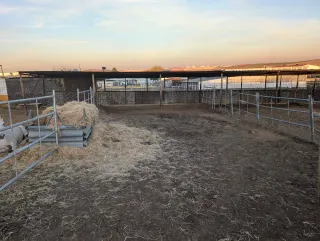 Pupilaje box o padock