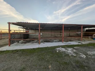 Pupilaje box o padock