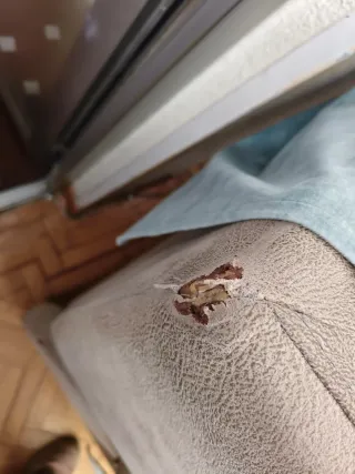 Sillón reclinable tela beige y azul