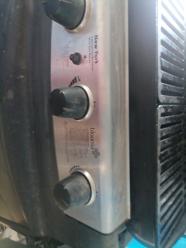 Barbacoa de gas negra y plateada