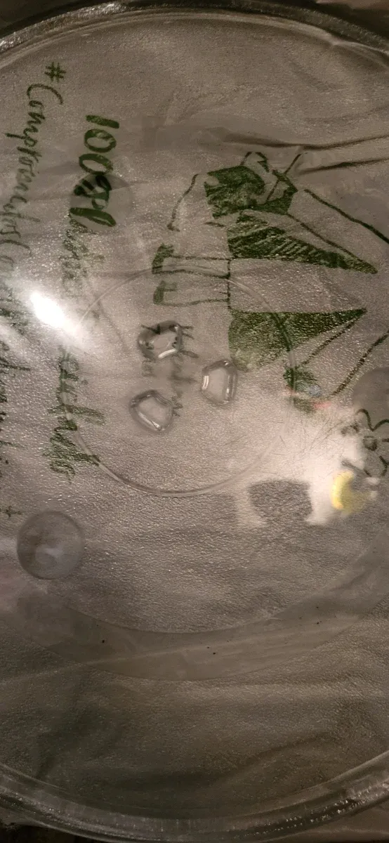 2 Platos de Microondas. 27 y de 32 centimetros.