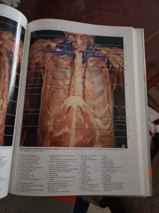 Atlas fotográfico de anatomia humana