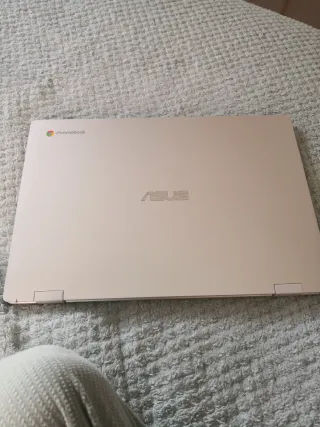 Portátil Asus Chromebook CX1500CN