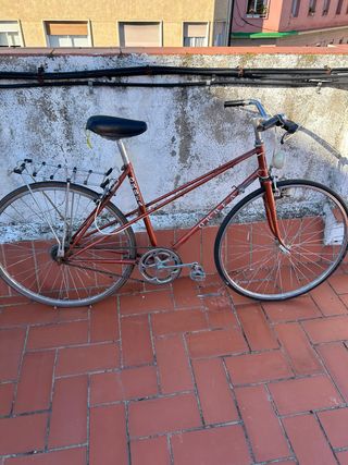 Bicicleta Orbea Paseo solo tiene una marcha