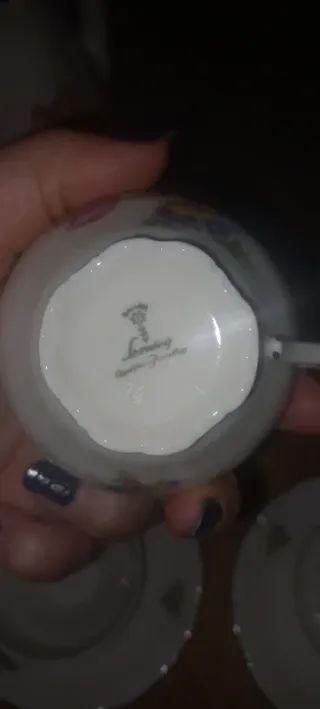 Servizio caffè porcellana Schirnding floreale