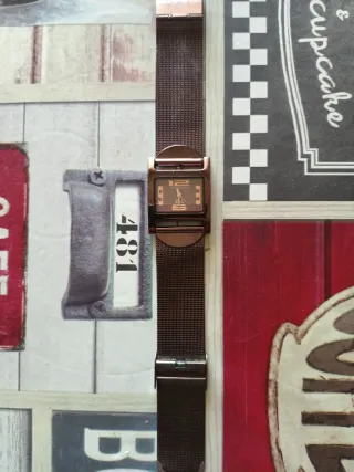 Reloj V&L Marrón y Dorado