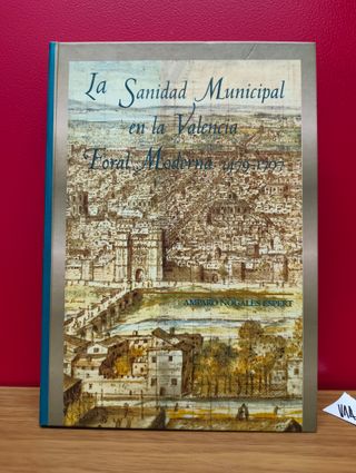 La sanidad municipal en la Valencia foral moderna