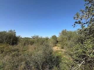 Terreno en venta en Llucmajor Interior en Llucmajor