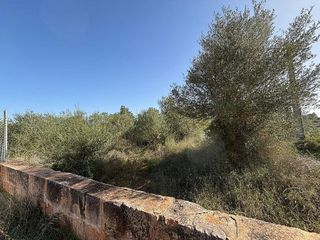 Terreno en venta en Llucmajor Interior en Llucmajor