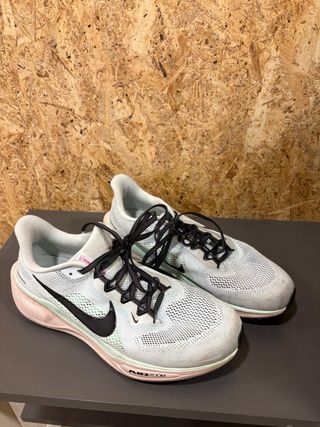 Nike Pegasus 41 Talla 41