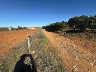 Terreno en venta en Sanlúcar la Mayor