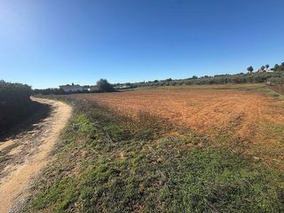 Terreno en venta en Sanlúcar la Mayor