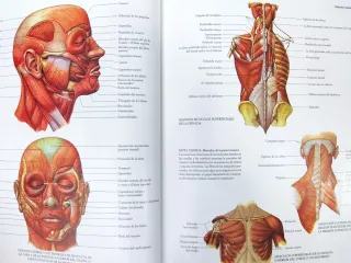 Diccionario de la Salud