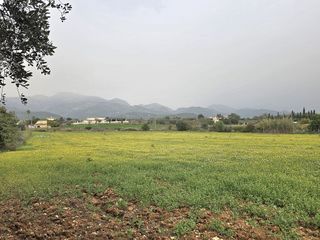 Terreno en venta en Zona periurbana en Inca