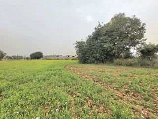 Terreno en venta en Zona periurbana en Inca