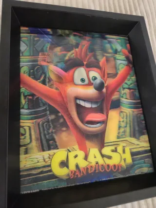 Cuadros 3D Crash Bandicoot y Spyro