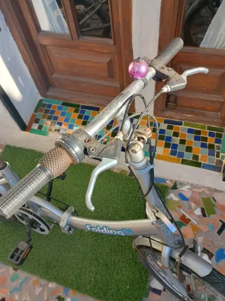 Bicicleta pieghevole Folding 08