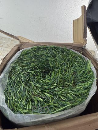 Cesped Artificial - VEVOR