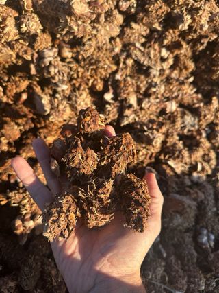 Corazones de piña, Barbacoa, chimenea, calefacción