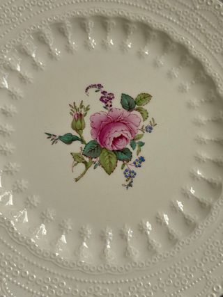 Antiguo plato Spode's Jewel