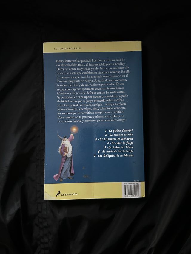 Harry Potter y la piedra filosofal (Harry Potte...