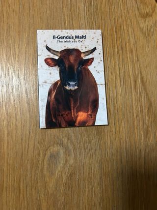 Moneda 2€ Malta 2025 Buey y Ciudades Amuralladas