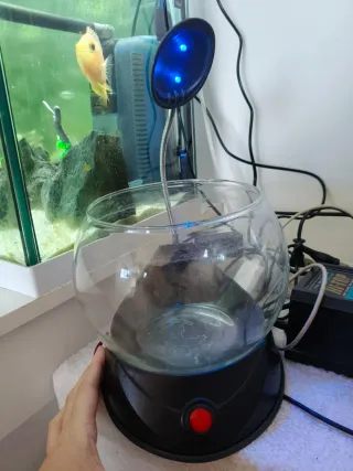 Pecera de cristal con luz