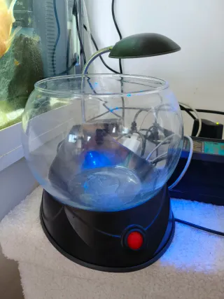 Pecera de cristal con luz