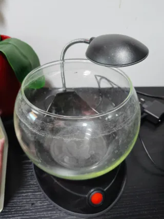 Pecera de cristal con luz