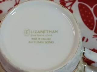 6 Conjuntos de Té Porcelana Inglesa Elizabethan