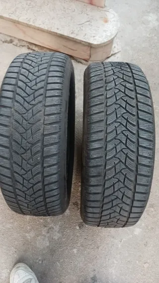 Neumáticos Dunlop Winter 205/55R17 95 v