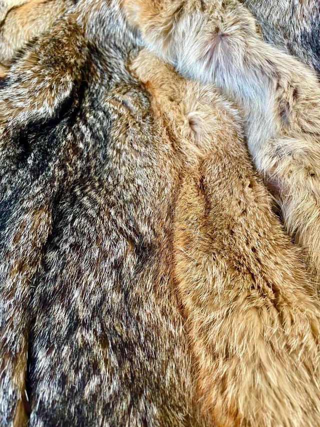 Cappotto di pelle della Patagonia