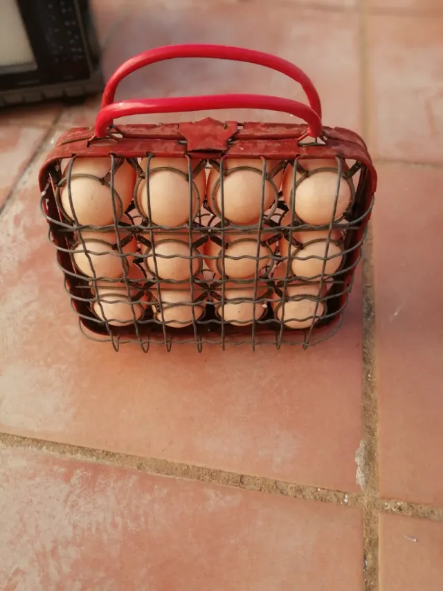 Huevera Retro Metálica Roja