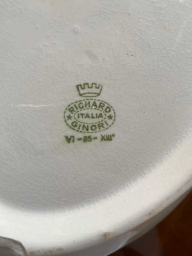 Richard Ginori servizio da 6 + zuppiera e portata