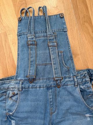 Mono vaquero desgarrado