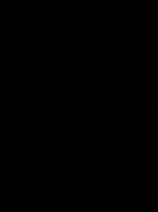 Recambios Persiana VW T5 (2 unidades)