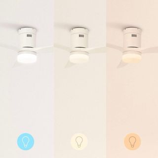 Ventilador de techo con luz Disponibles 2 unidades